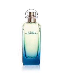 Hermes-Un-Jardin-Apres-La-Mousson-Unisex-100-ML.jpg