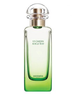 Hermes-Un-Jardin-Sur-Le-Toit-Unisex-Tester-100-ML.jpg