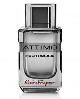 Salvatore-Ferragamo-Attimo-Man-Tester-100-ML.jpg Salvatore-Ferragamo-Attimo-Man-Tester-100-ML.jpg